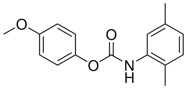 4-METHOXYPHENYL N-(2,5-XYLYL)CARBAMATE