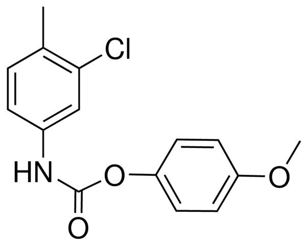 4-METHOXYPHENYL N-(3-CHLORO-4-METHYLPHENYL)CARBAMATE