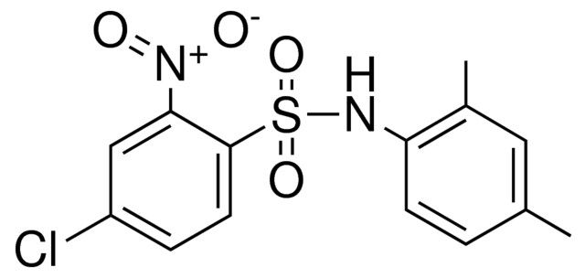 4-CHLORO-N-(2,4-DIMETHYL-PHENYL)-2-NITRO-BENZENESULFONAMIDE