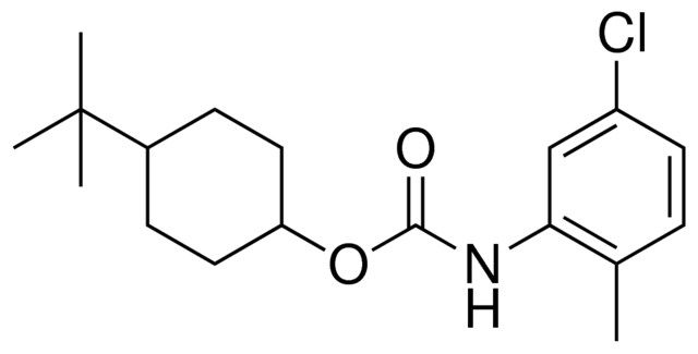 4-(TERT-BUTYL)CYCLOHEXYL N-(5-CHLORO-2-METHYLPHENYL)CARBAMATE