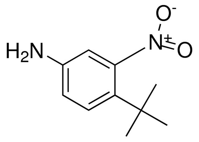 4-(TERT-BUTYL)-3-NITROANILINE