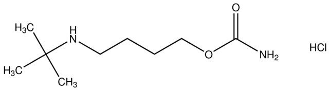 4-(tert-butylamino)butyl carbamate hydrochloride