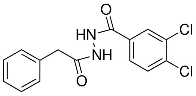 3,4-DICHLOROBENZOIC N2-(2-PHENYLACETYL)HYDRAZIDE