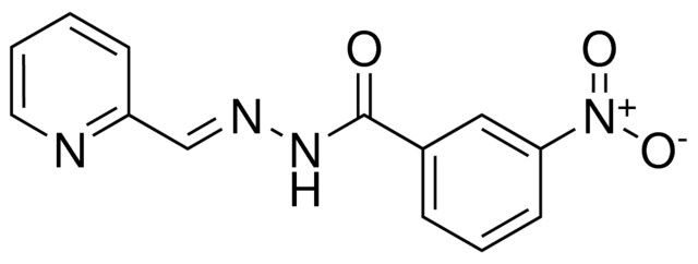 3-NITRO-BENZOIC ACID PYRIDIN-2-YLMETHYLENE-HYDRAZIDE