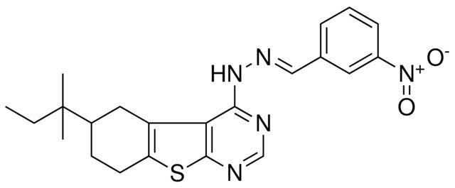 3-NITROBENZALDEHYDE (6-TERT-PENTYL-5,6,7,8-TETRAHYDRO[1]BENZOTHIENO[2,3-D]PYRIMIDIN-4-YL)HYDRAZONE