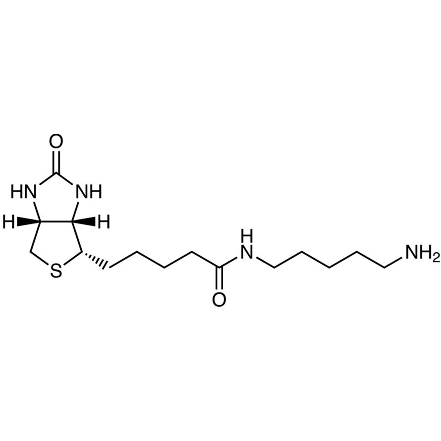 Biotin-C<sub>5</sub>-Amine