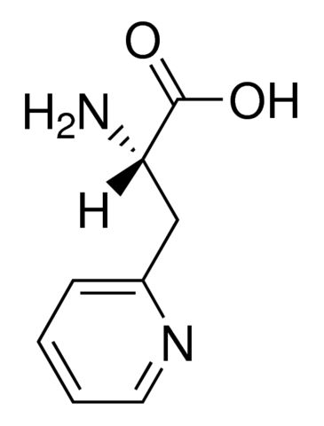 3-(2-Pyridyl)-<sc>L</sc>-alanine