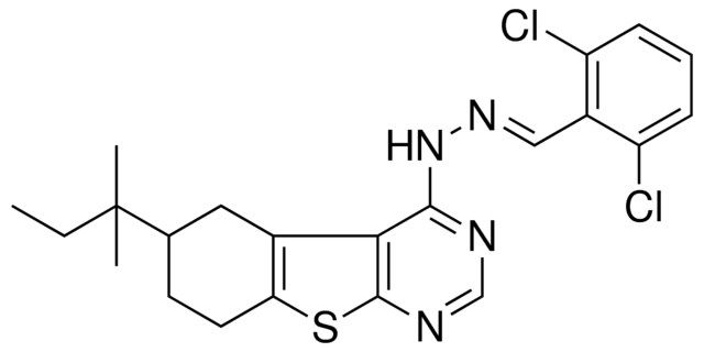 2,6-DICHLOROBENZALDEHYDE (6-TERT-PENTYL-5,6,7,8-TETRAHYDRO[1]BENZOTHIENO[2,3-D]PYRIMIDIN-4-YL)HYDRAZONE