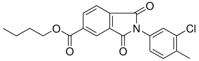 2(3-CL-4-ME-PH)-1,3-DIOXO-2,3-DIHYDRO-1H-ISOINDOLE-5-CARBOXYLIC ACID BUTYL ESTER