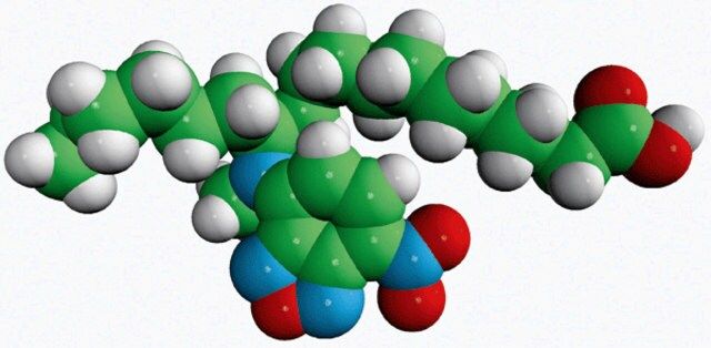 12-NBD Stearate