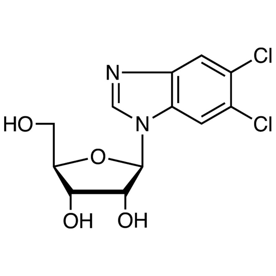 5,6-Dichlorobenzimidazole 1-β-D-Ribofuranoside