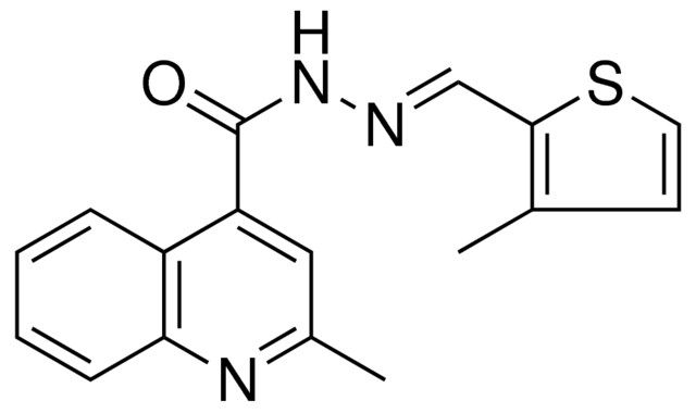 2-METHYL-QUINOLINE-4-CARBOXYLIC ACID (3-METHYL-THIOPHEN-2-YLMETHYLENE)-HYDRAZIDE