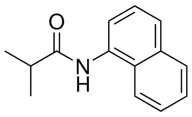 2-METHYL-N-(1-NAPHTHYL)PROPIONAMIDE