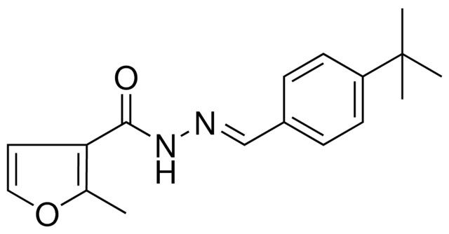 2-METHYL-FURAN-3-CARBOXYLIC ACID (4-TERT-BUTYL-BENZYLIDENE)-HYDRAZIDE