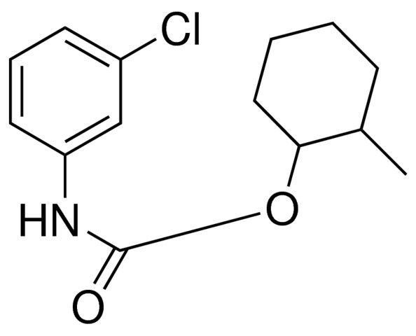 2-METHYLCYCLOHEXYL N-(3-CHLOROPHENYL)CARBAMATE