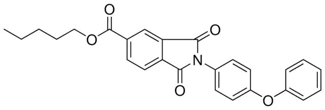 1,3-DIOXO-2(4-PHENOXY-PH)2,3-DIHYDRO-1H-ISOINDOLE-5-CARBOXYLIC ACID PENTYL ESTER