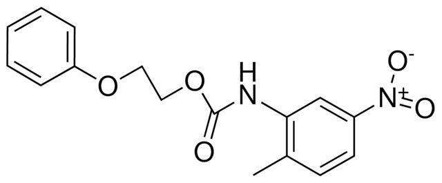 2-PHENOXYETHYL N-(2-METHYL-5-NITROPHENYL)CARBAMATE