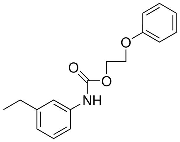 2-PHENOXYETHYL N-(3-ETHYLPHENYL)CARBAMATE