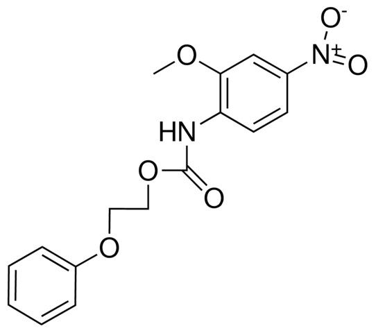 2-PHENOXYETHYL N-(2-METHOXY-4-NITROPHENYL)CARBAMATE