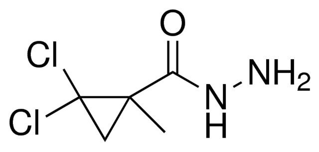 2,2-DICHLORO-1-METHYL-CYCLOPROPANECARBOXYLIC ACID HYDRAZIDE