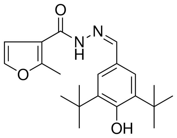 2-ME-FURAN-3-CARBOXYLIC ACID (3,5-DI-TERT-BUTYL-4-HYDROXY-BENZYLIDENE)-HYDRAZIDE