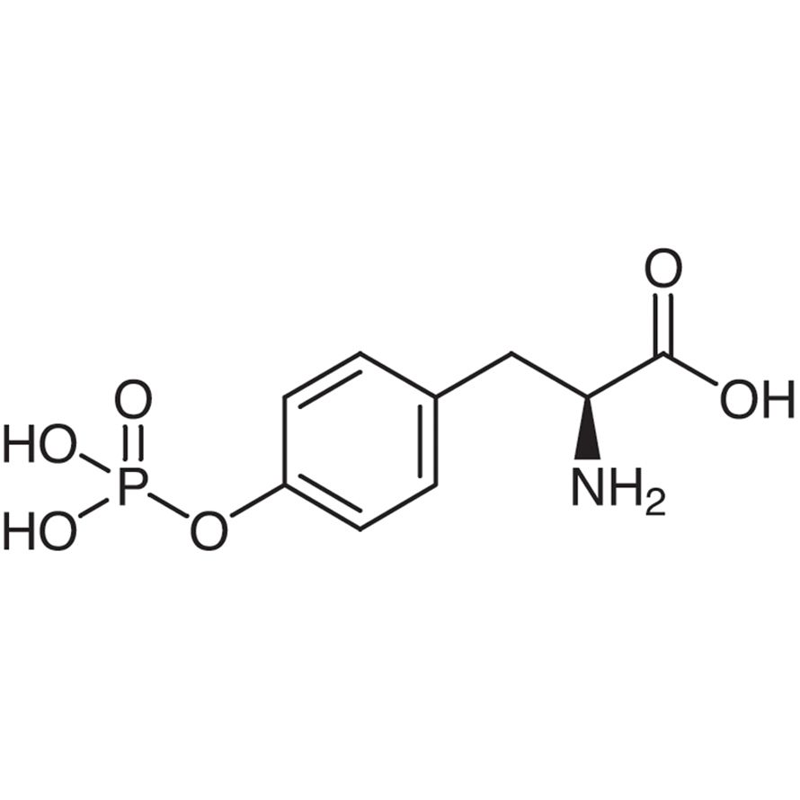 O-Phospho-L-tyrosine