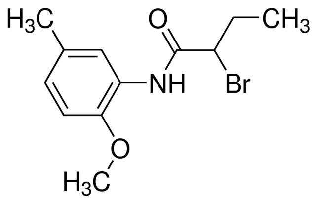 2-Bromo-<i>N</i>-(2-methoxy-5-methylphenyl)butanamide