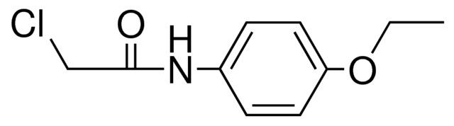 2-CHLORO-4'-ETHOXYACETANILIDE