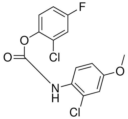 2-CHLORO-4-FLUOROPHENYL N-(2-CHLORO-4-METHOXYPHENYL)CARBAMATE