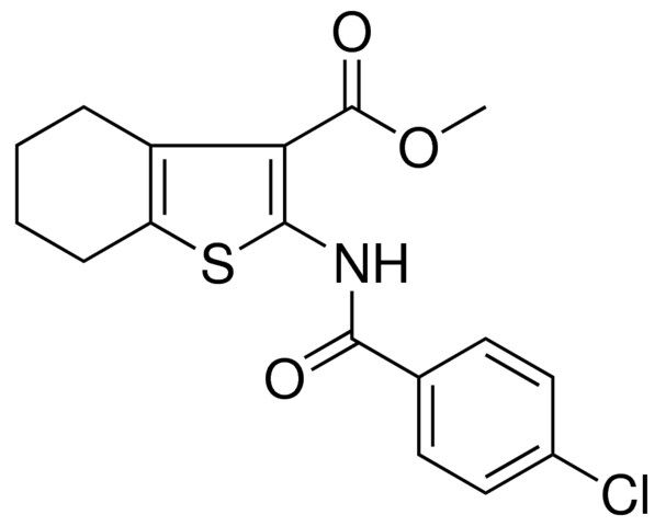 2-(4-CL-BENZOYLAMINO)-4,5,6,7-4H-BENZO(B)THIOPHENE-3-CARBOXYLIC ACID ME ESTER