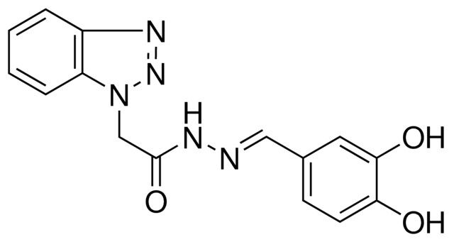 2-(1H-1,2,3-BENZOTRIAZOL-1-YL)-N'-(3,4-DIHYDROXYBENZYLIDENE)ACETOHYDRAZIDE