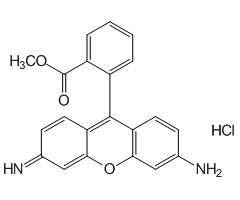 Rhodamine 123