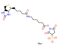 Sulfo-NHS-LC-Biotin sodium