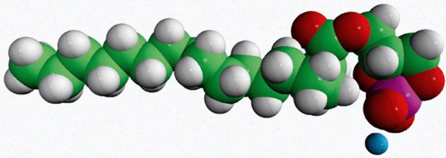 17:0 Cyclic LPA