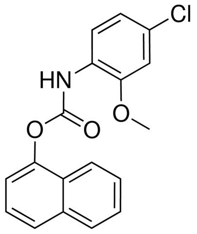 1-NAPHTHYL N-(4-CHLORO-2-METHOXYPHENYL)CARBAMATE