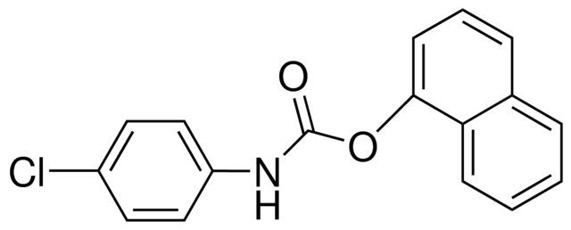 1-NAPHTHYL N-(4-CHLOROPHENYL)CARBAMATE