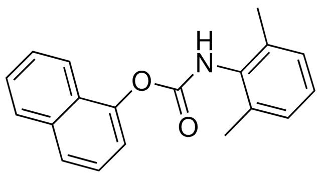 1-NAPHTHYL N-(2,6-XYLYL)CARBAMATE