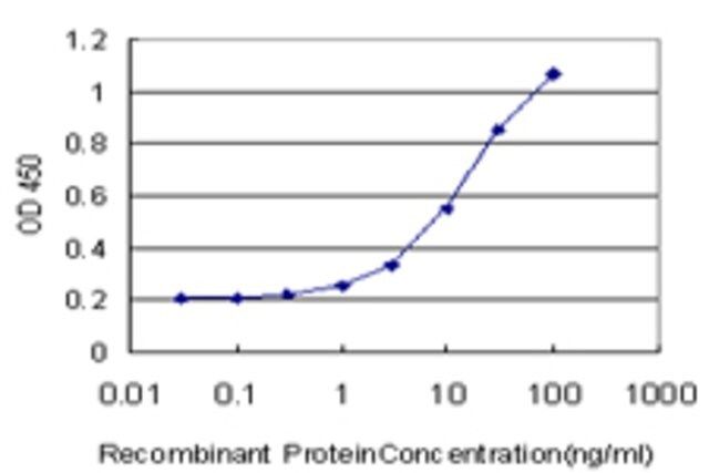 Monoclonal Anti-KCNG3 antibody produced in mouse