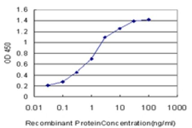 Monoclonal Anti-MAGI2 antibody produced in mouse