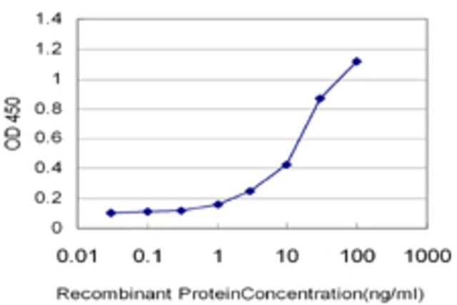 Monoclonal Anti-GALNTL4 antibody produced in mouse