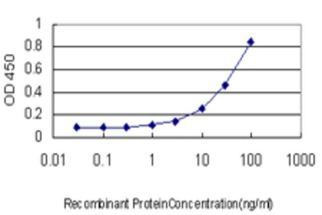 Monoclonal Anti-CGRRF1 antibody produced in mouse