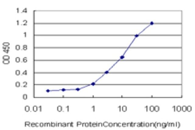 Monoclonal Anti-CLDN5 antibody produced in mouse