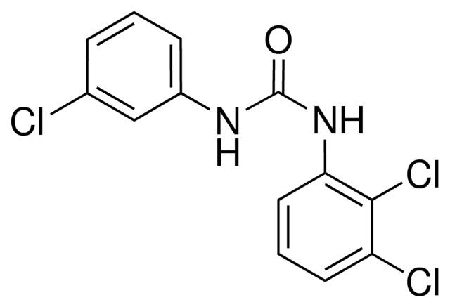 1-(3-CHLOROPHENYL)-3-(2,3-DICHLOROPHENYL)UREA