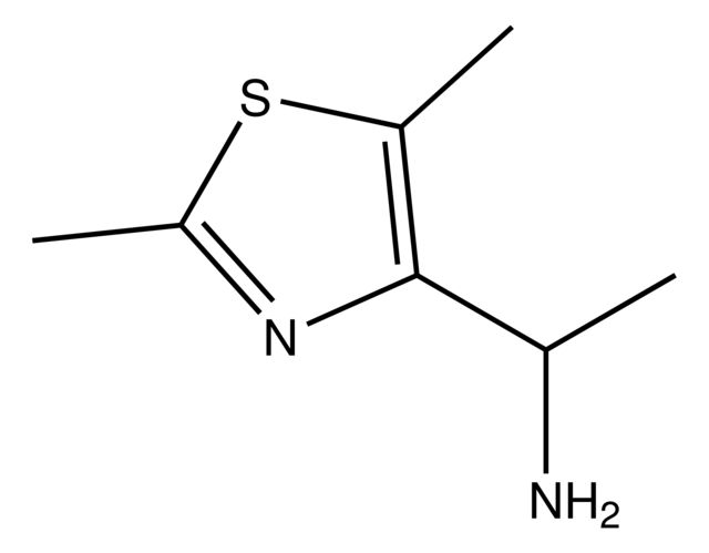 1-(2,5-Dimethyl-1,3-thiazol-4-yl)ethanamine