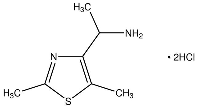 1-(2,5-Dimethyl-1,3-thiazol-4-yl)ethanamine dihydrochloride