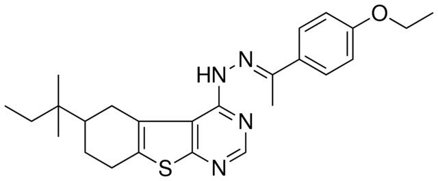 (1E)-1-(4-ETHOXYPHENYL)ETHANONE (6-TERT-PENTYL-5,6,7,8-TETRAHYDRO[1]BENZOTHIENO[2,3-D]PYRIMIDIN-4-YL)HYDRAZONE