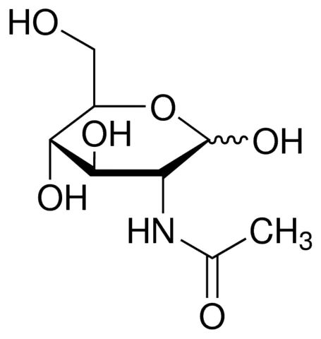 N-Acetylglucosamine