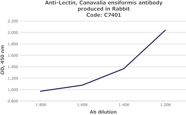 Anti-Lectin, Canavalia ensiformis antibody produced in rabbit