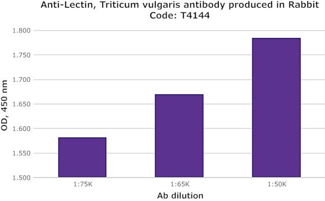 Anti-Lectin, <i>Triticum vulgaris</i> antibody produced in rabbit