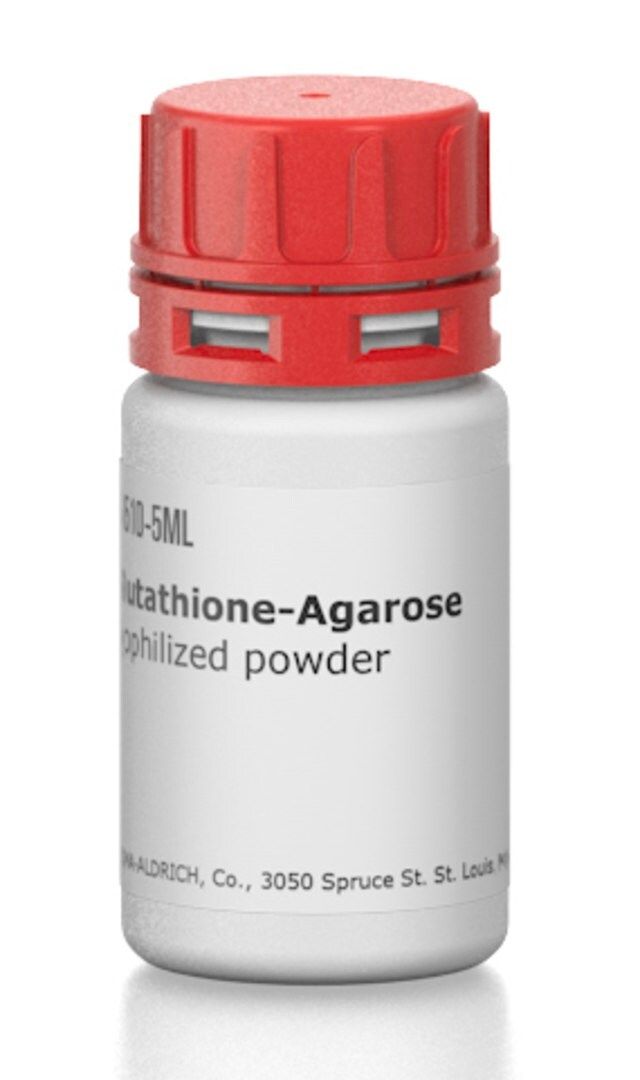 Glutathione-Agarose